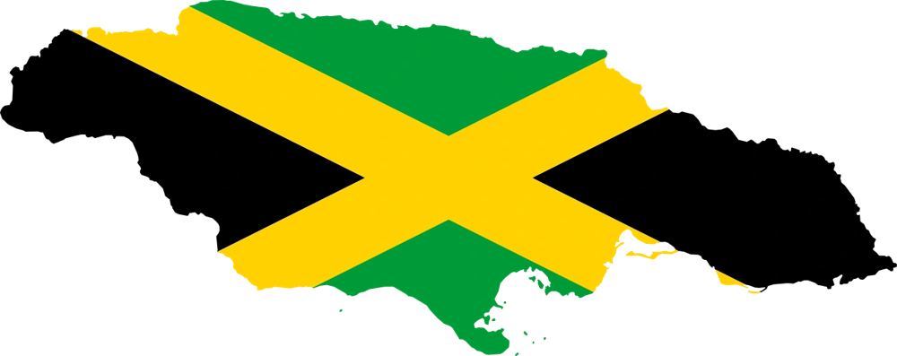 D & S Caribbean Kitchen logo