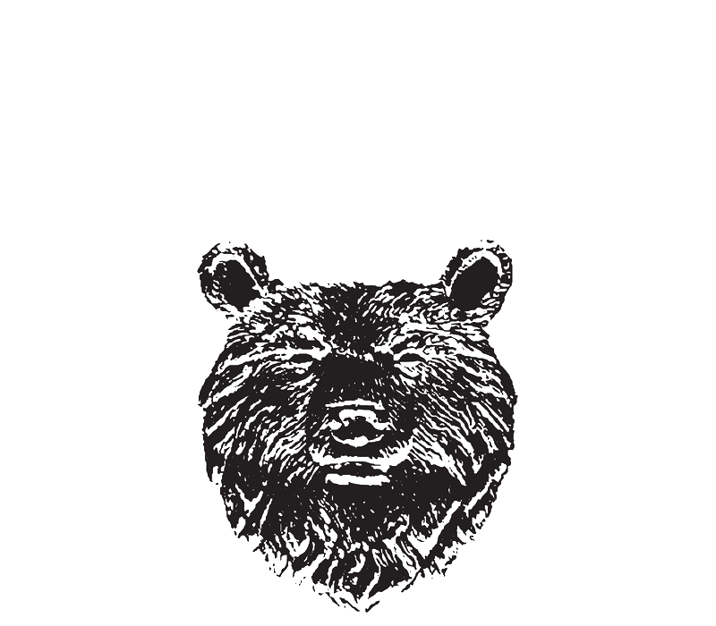 Mishka Premium Vodka (This Life Forever Distillery) logo