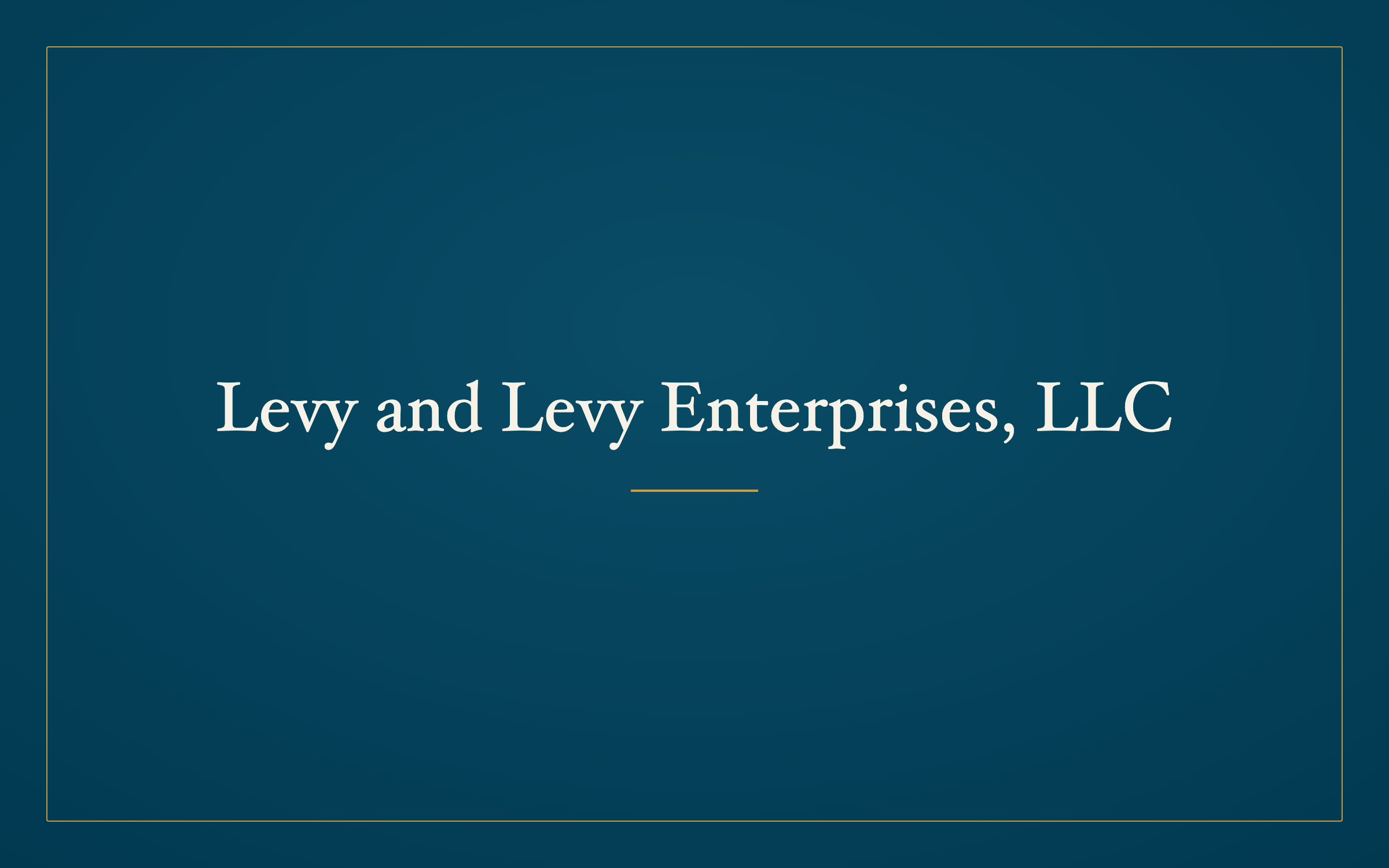 Levy and Levy Enterprises, LLC logo
